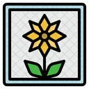 Image Photo Flower Icon