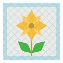 Image Photo Flower Icon