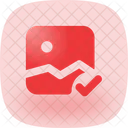 Image Check Ou Lc Icon