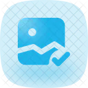 Image Check Ou Lc Icon