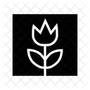 Image  Icon