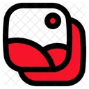 Image Gallery Picture Icon