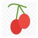Imbe Fresh Fruit Icon