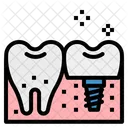 Implant Premolar Odontology Icon