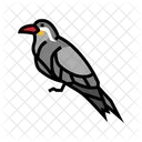Inca Bird  Icon