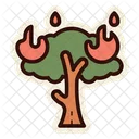 Incendios forestales  Icon