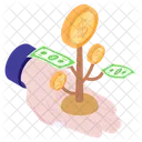 Money Growth Money Plant Income Icon