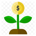 Income  Icon