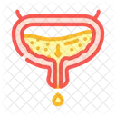 Incontinence Urology Nephrology Icon