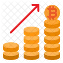 Bitcoin Money Currency Icon
