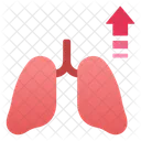 폐증대 폐 심장 아이콘