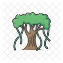 Fig Banyan Nature Icon