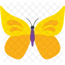 Indian Leaf Butterfly  Icon