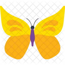 Indian Leaf Butterfly  Icon