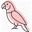 Indischer Ringneck Sittich Indischer Ringneck Sittich Haustier Symbol