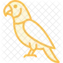 Indischer Ringneck Sittich Indischer Ringneck Sittich Haustier Symbol