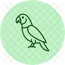 Indischer Ringneck Sittich Indischer Ringneck Sittich Haustier Symbol