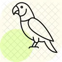 Indischer Ringneck Sittich Indischer Ringneck Sittich Haustier Symbol