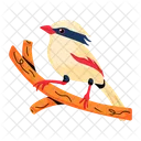 Exotic Bird Indochinese Bird Magpie Bird Icon