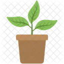 Indoor Plant Gardening Icon