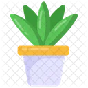 Indoor Plant  Icon