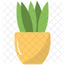 Potted Plant Grass Icon