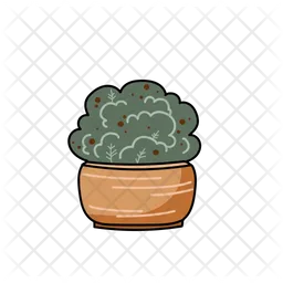 Indoor Plant  Icon