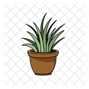 Indoor Plants For Decoration Available In Vector Icon