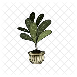 Indoor Plant  Icon