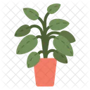 Indoor Plant  Symbol