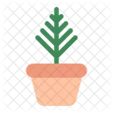 Indoor Plant Plant Nature Icon