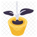 Indoor Plant  Icon