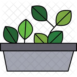 Indoor Plant  Icon