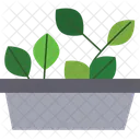 Indoor Plant Houseplant Green Decor Icon