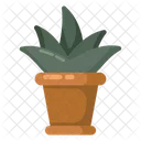 Indoor Plant  Icône