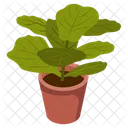 Indoor Plant  Icon
