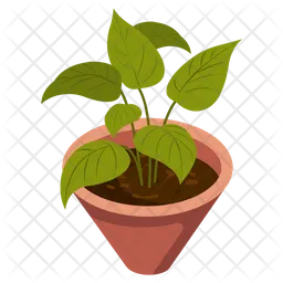 Indoor Plant  Icon