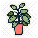 Indoor Plant  Icon