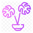 Indoor Plants Flower Botany Icon