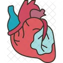 Infarction Myocardial Heart Icon