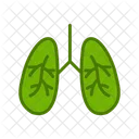 Infecção pulmonar  Ícone