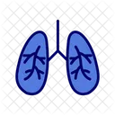 Infecção pulmonar  Ícone