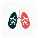 Infecção pulmonar  Ícone