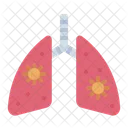 Infección respiratoria  Icon