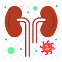 Infected Kidney  Icon
