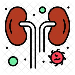 Infected Kidney  Icon