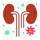 Infected Kidney  アイコン