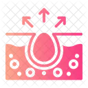 Inflamacao Acne Poro Ícone