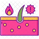 Inflamação  Icon