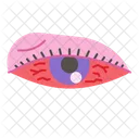 Inflamación ocular  Icon